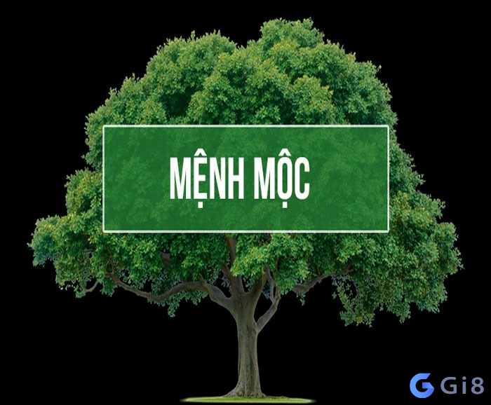 Mệnh mộc hợp số gì