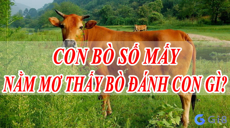 Mơ thấy bò đánh con gì để dễ trúng