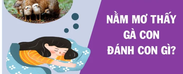 Mơ thấy gà con đánh con gì - Chiêm bao thấy gà con mang điềm báo gì?