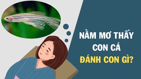 Nằm mơ thấy cá đánh số mấy? Những giấc mơ thấy cá mang ý nghĩa gì?