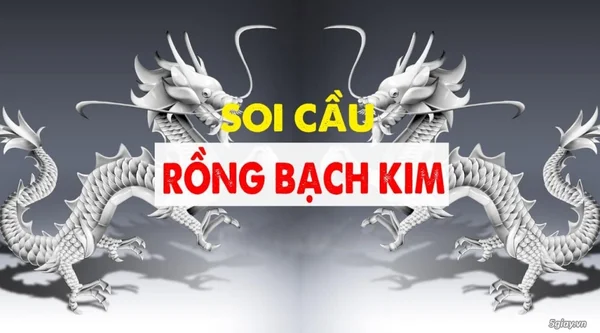 Khi soi cầu trong bạch kim cần chú ý những điều gì?