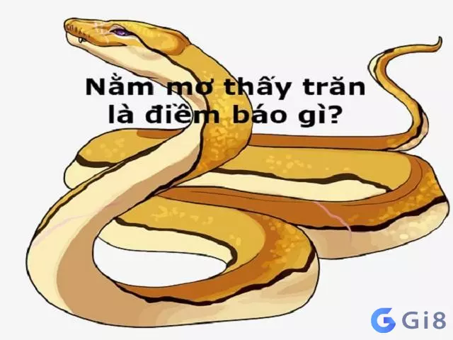 Nằm mơ thấy trăn là điềm báo gì? 