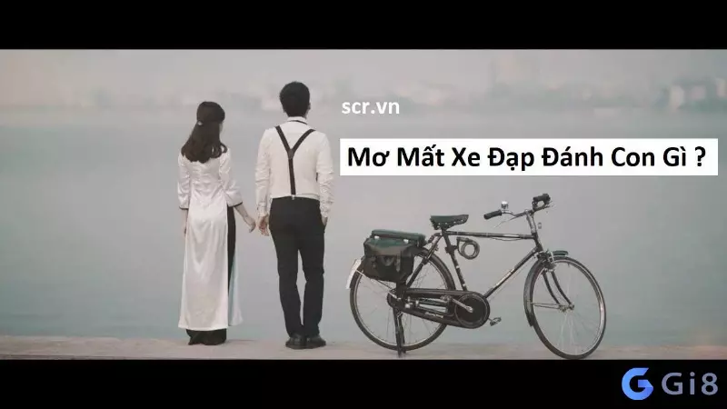 mơ mất xe đạp