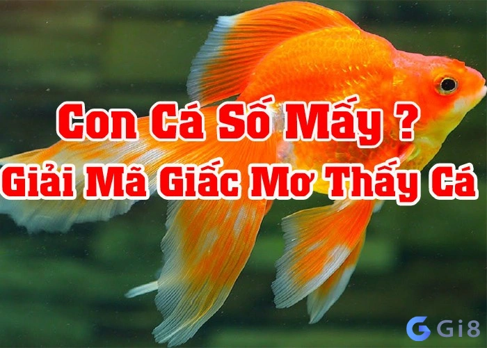  mơ thấy cá đánh đề con gì