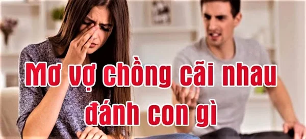 Mơ thấy vợ chồng chửi nhau có ý nghĩa gì?