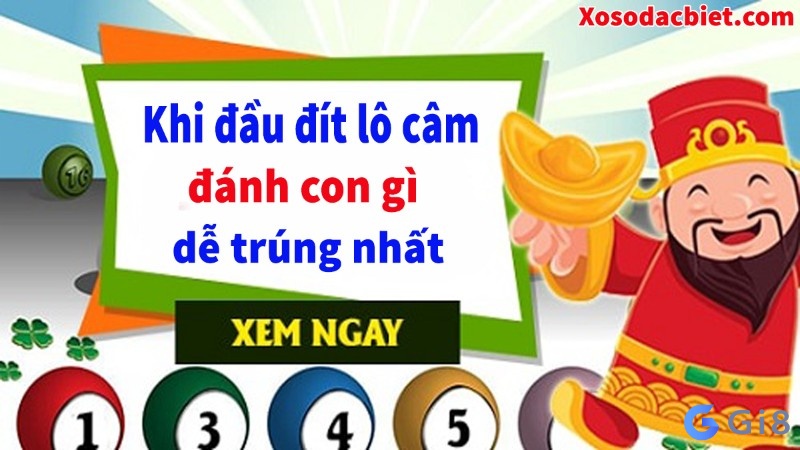 Dau dit cam danh so gi vào ngày mai nổ lớn