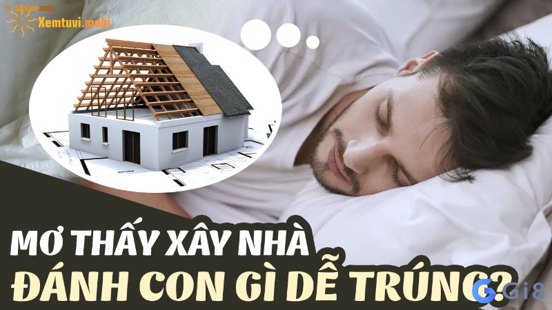 Mơ xây nhà đánh con gì sẽ dễ trúng thưởng?