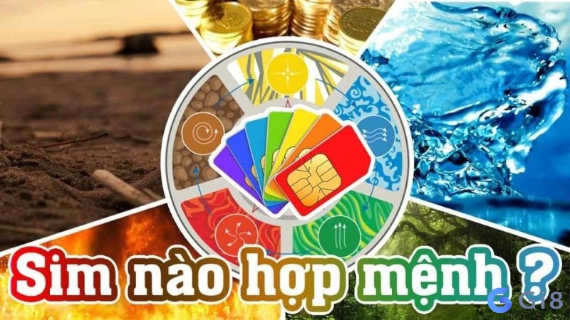 Mệnh mộc hợp số gì? Số hợp với mệnh mộc là số nào