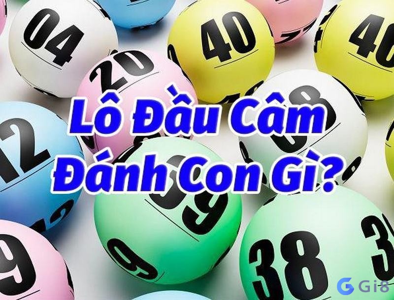 Câm đầu đánh con gì? 