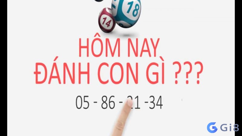 Lựa chọn số đề hay về