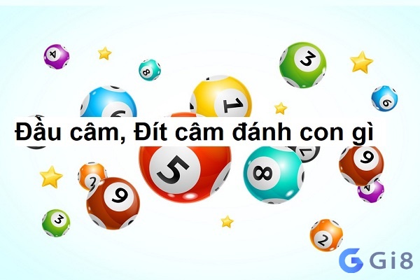 Giải mã dit cam danh lo gi?