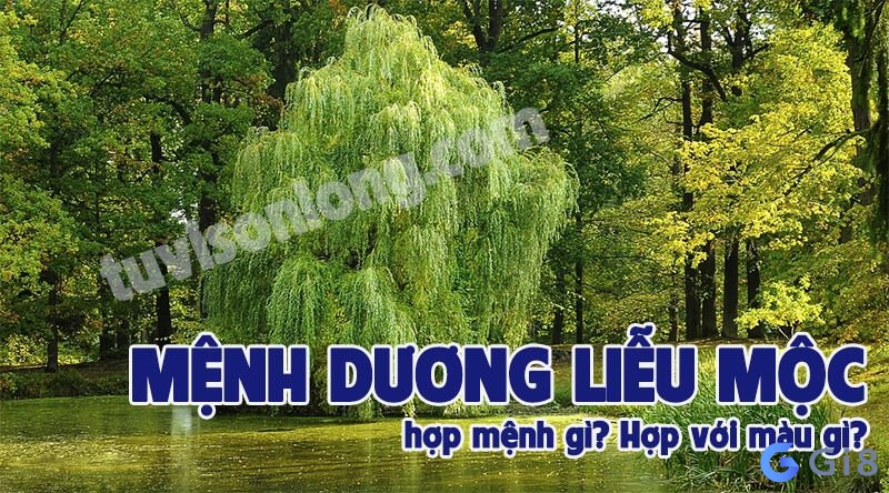 Hợp và khắc với những mệnh nào?