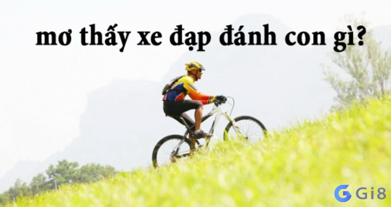 Mơ thấy xe đạp đánh con gì?