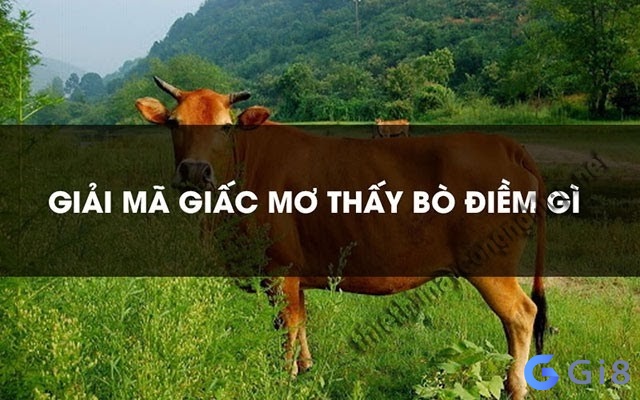 Điềm báo về các giấc mơ thấy bò