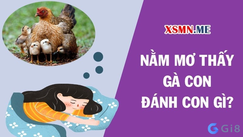 Mơ thấy con gà đánh con gì?