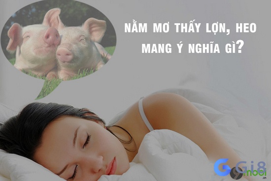 Mộng thấy heo mang tới dự cảm tốt hay xấu cho bạn?