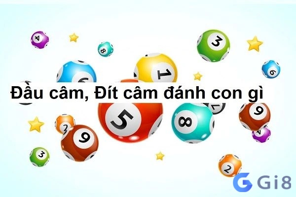 Tổng quan về đầu đít lô câm là gì?