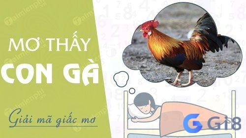 Giải mã giấc mơ thấy gà mái là điềm gì?