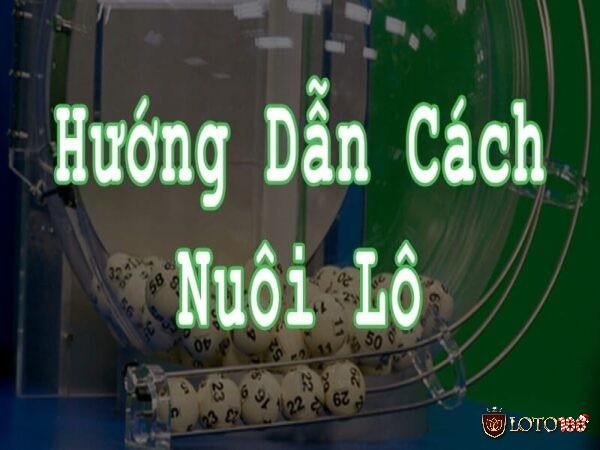 Các hình thức nuôi lô phổ biến hiệu quả nhất hiện nay