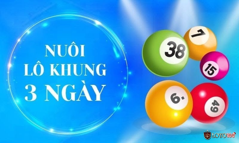 Nuôi lô khung 3 ngày hiệu quả