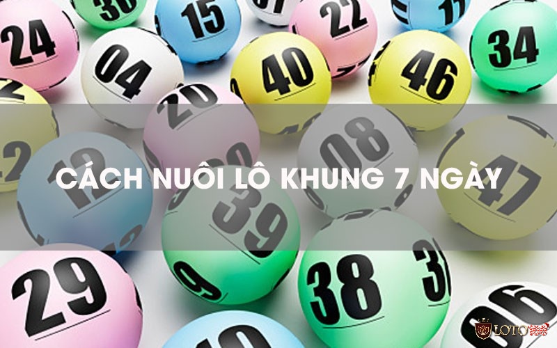 Áp dụng nuôi lô khung 7 ngày đem lại lợi nhuận khủng