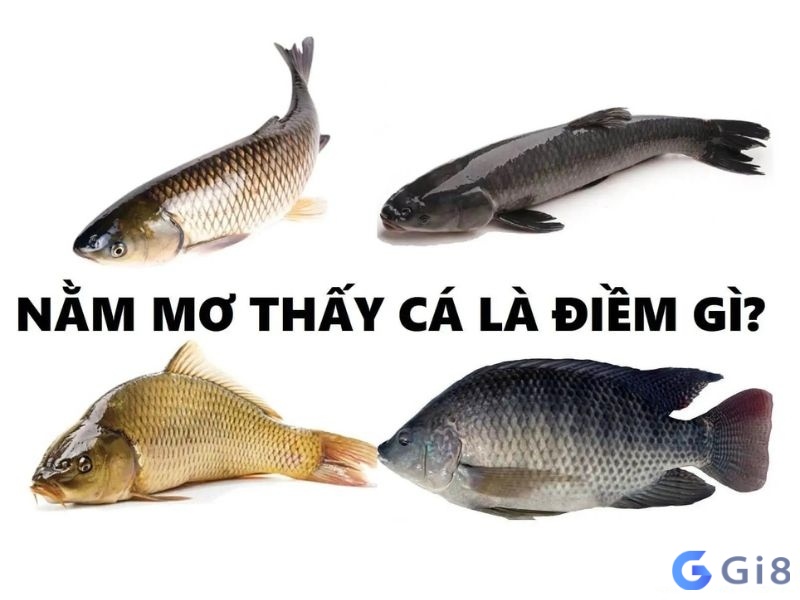 Mơ về cá thường ám chỉ đến những cơ hội mới