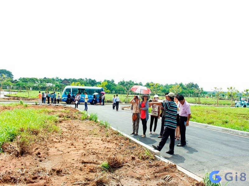 Hình dung rõ bối cảnh mơ để giải mã chuẩn xác hơn 