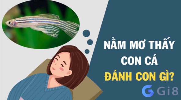 Nằm mơ thấy con cá đánh đề con gì dễ ăn?